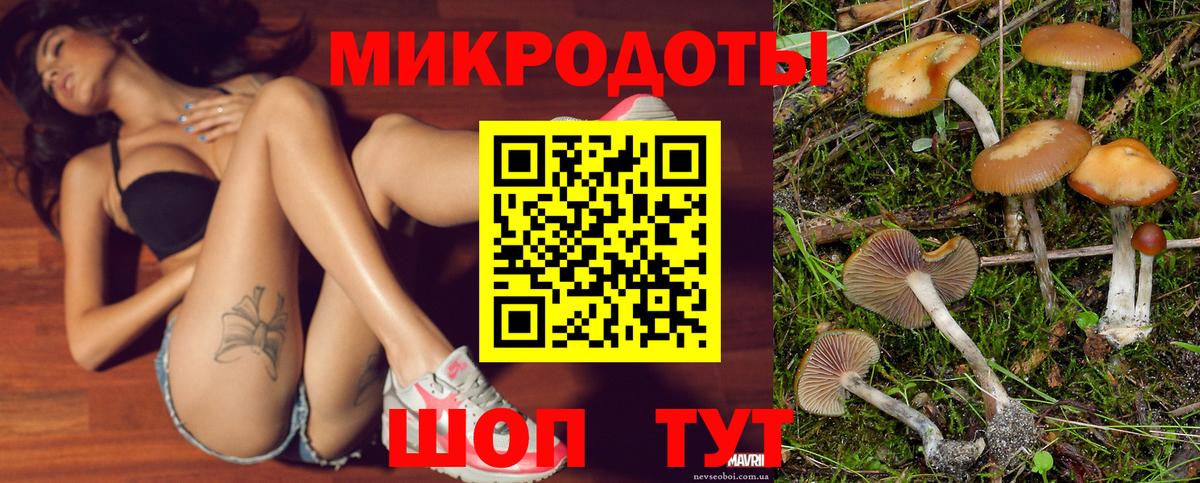Саранск  Псилоцибиновые грибы Psilocybine cubensis  Вход с VPN 