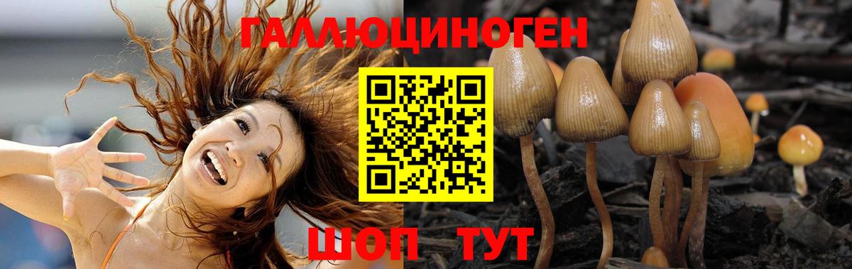 Галлюциногенные грибы мицелий Саранск